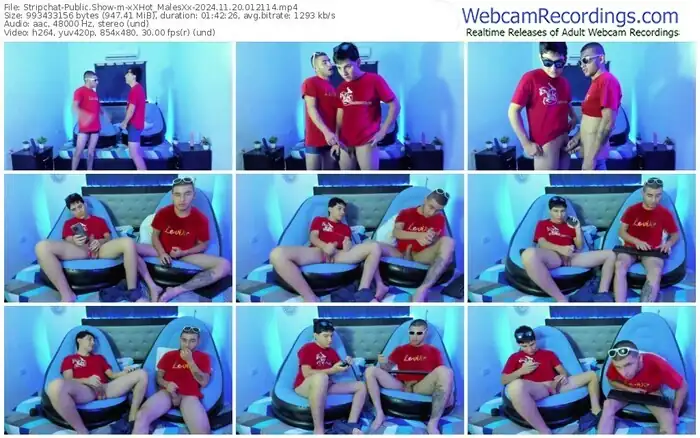 stripchat-xxhot_malesxx-11-20-2024-01-21-14