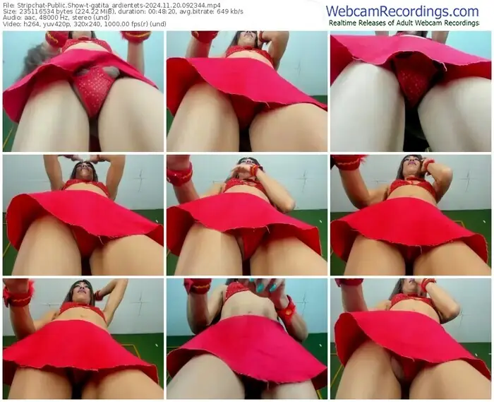 stripchat-gatita_ardientets-11-20-2024-09-23-44