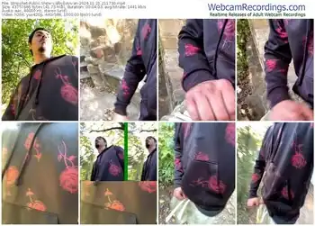 stripchat-bbyboyivan-11-21-2024-21-17-30