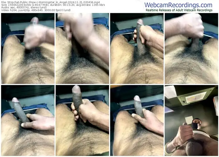stripchat-morningstar_ki_angel-11-21-2024-02-04-34