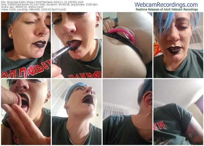 stripchat-pinkthehawk-11-21-2024-22-03-51