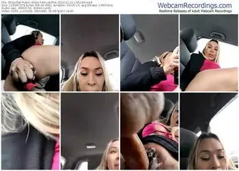 stripchat-amywillss-11-21-2024-19-51-44