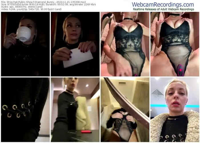 stripchat-diamond_bunny_-11-21-2024-13-53-38