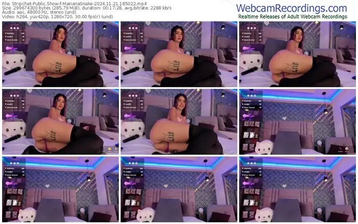 stripchat-marianasnake-11-21-2024-18-50-22