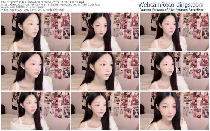 stripchat-smallmeow_-11-21-2024-11-31-03