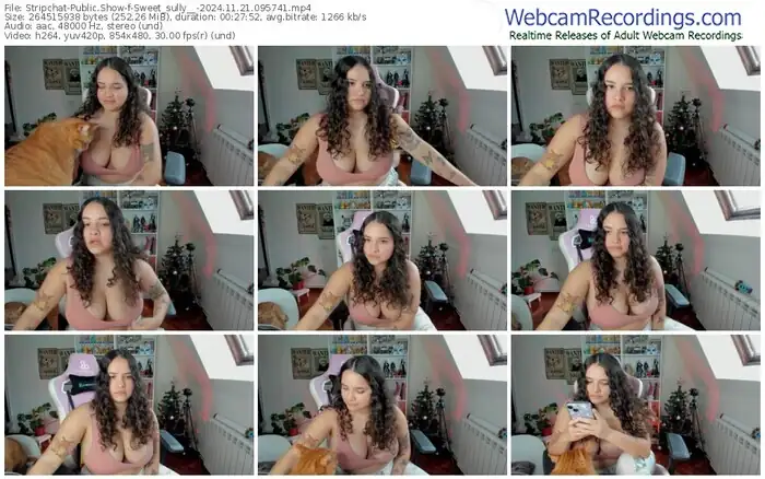 stripchat-sweet_sully__-11-21-2024-09-57-41