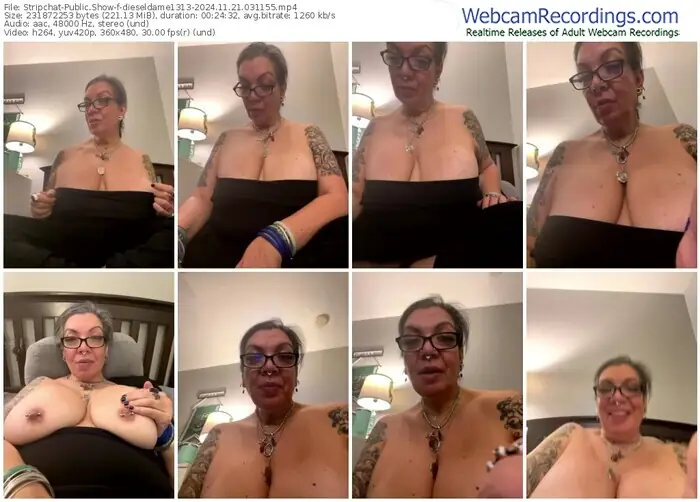 stripchat-dieseldame1313-11-21-2024-03-11-55