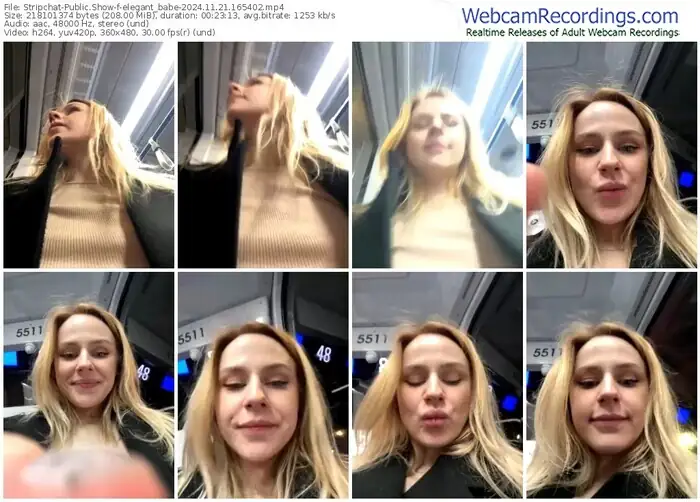 stripchat-elegant_babe-11-21-2024-16-54-02