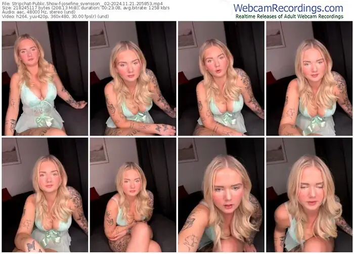 stripchat-josefine_svensson__02-11-21-2024-20-58-53