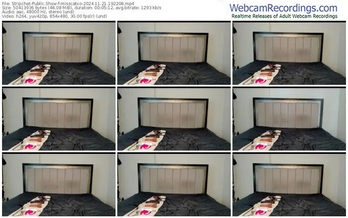 stripchat-misscatxo-11-21-2024-19-22-08