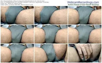 stripchat-masculine_breed-11-21-2024-14-21-21