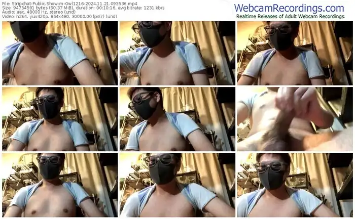 stripchat-owl1216-11-21-2024-09-35-36