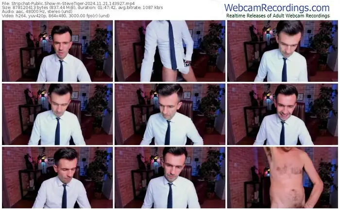 stripchat-stevetiger-11-21-2024-14-39-27