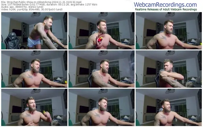 stripchat-ubbeviking-11-21-2024-01-01-32