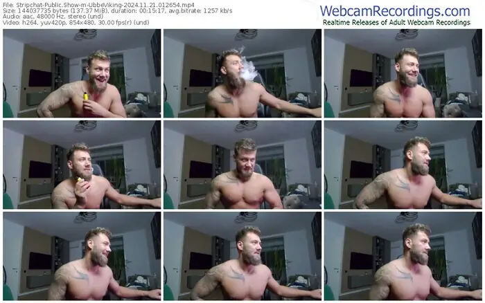 stripchat-ubbeviking-11-21-2024-01-26-54