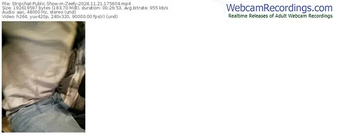 stripchat-zeefy-11-21-2024-17-56-04