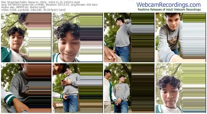 stripchat-_ottis_-11-21-2024-19-32-11