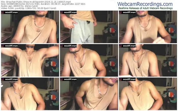 stripchat-dickpois0n-11-21-2024-19-08-15