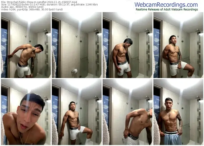 stripchat-sendfer-11-21-2024-03-49-37