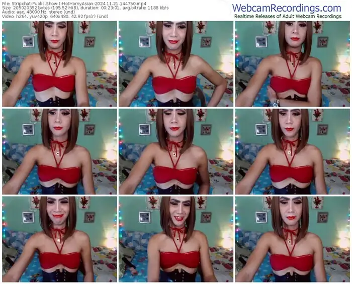 stripchat-hothornyasian-11-21-2024-14-47-50