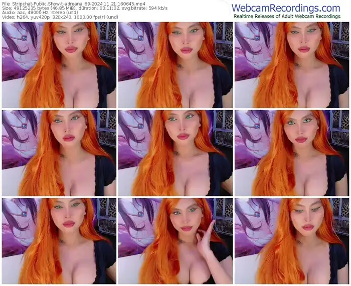 stripchat-adreana_69-11-21-2024-16-06-45