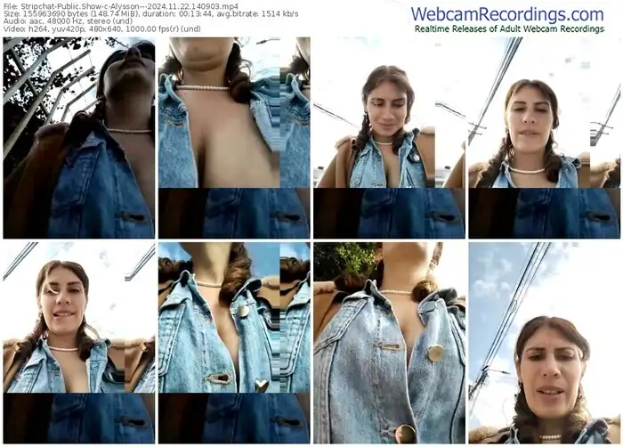 stripchat-alysson---11-22-2024-14-09-03