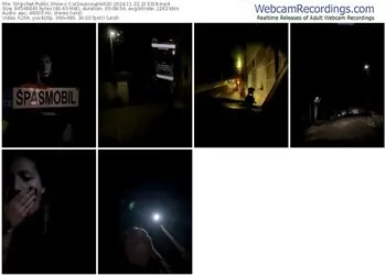 stripchat-cur1ouscouple420-11-22-2024-21-33-18