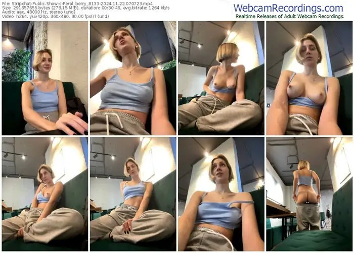 stripchat-feral_berry_8133-11-22-2024-07-07-23