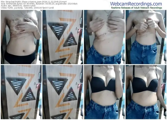 stripchat-karina_jaan-11-22-2024-20-41-23
