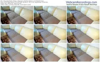 stripchat-pawsitive_panther-11-22-2024-08-23-47