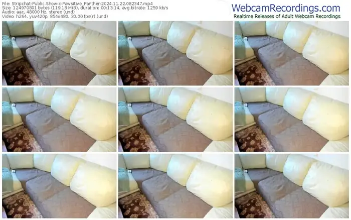 stripchat-pawsitive_panther-11-22-2024-08-23-47