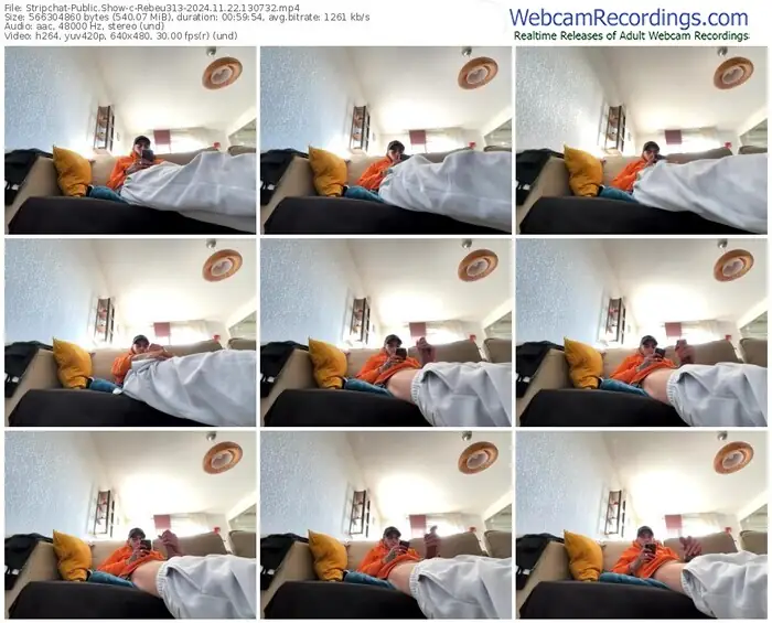 stripchat-rebeu313-11-22-2024-13-07-32