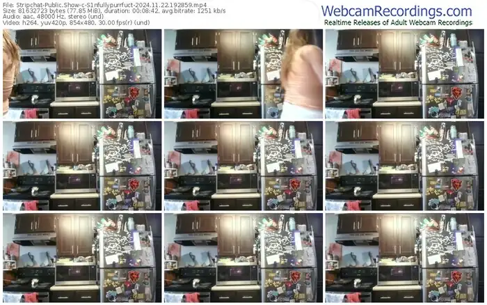 stripchat-s1nfullypurrfuct-11-22-2024-19-28-59