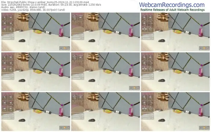 stripchat-amber_tonny25-11-22-2024-12-31-00