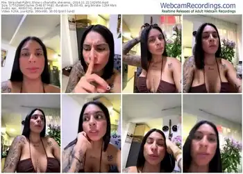 stripchat-charlotte_stevenss_-11-22-2024-16-29-50