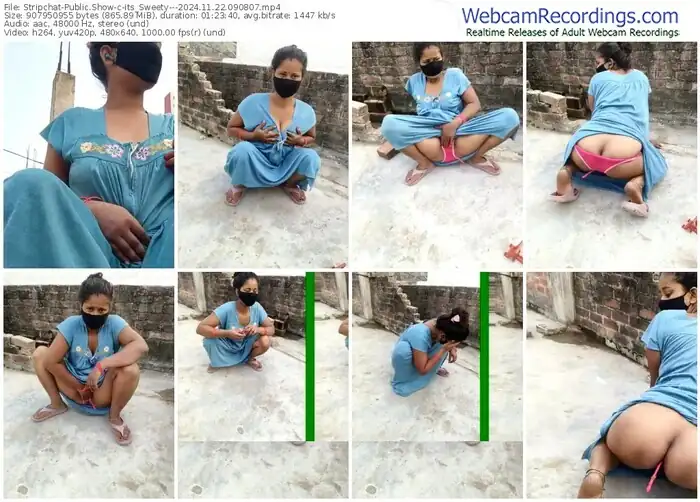 stripchat-its_sweety---11-22-2024-09-08-07