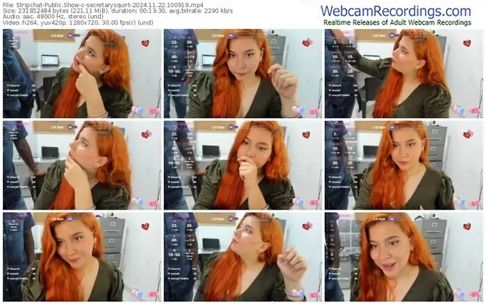 stripchat-secretarysquirt-11-22-2024-10-09-19