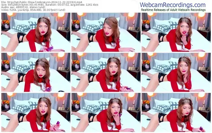 stripchat-adoralynn-11-22-2024-22-23-16