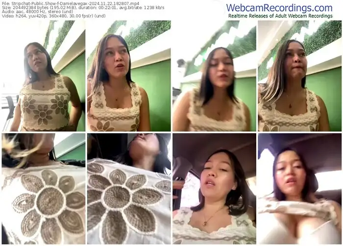stripchat-danielavegax-11-22-2024-18-28-07