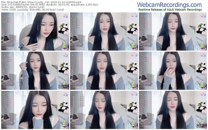 stripchat-lucky_cat--11-22-2024-02-26-59
