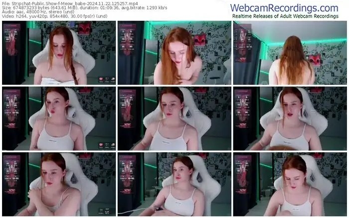 stripchat-meow_babe-11-22-2024-12-52-57