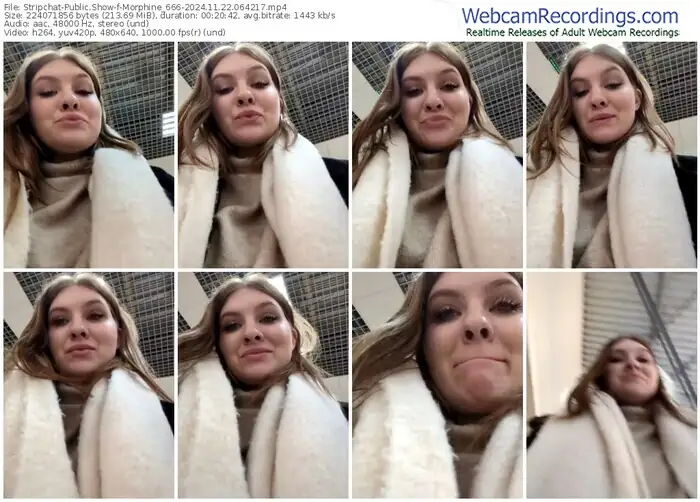 stripchat-morphine_666-11-22-2024-06-42-17