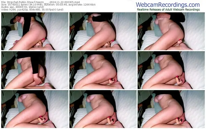 stripchat-naomi____-11-22-2024-00-03-05