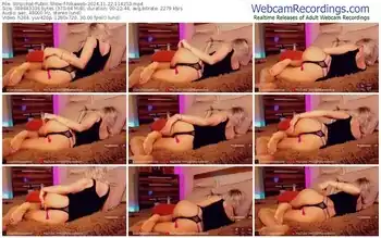 stripchat-nikaweb-11-22-2024-11-42-53