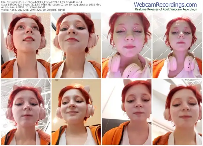 stripchat-noka_foxy-11-22-2024-05-49-41