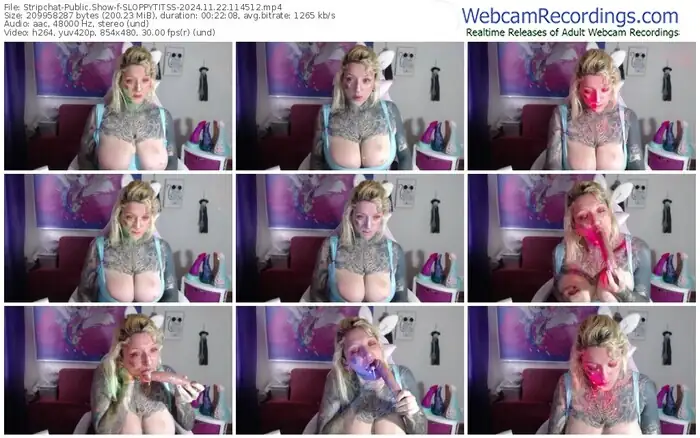 stripchat-sloppytitss-11-22-2024-11-45-12
