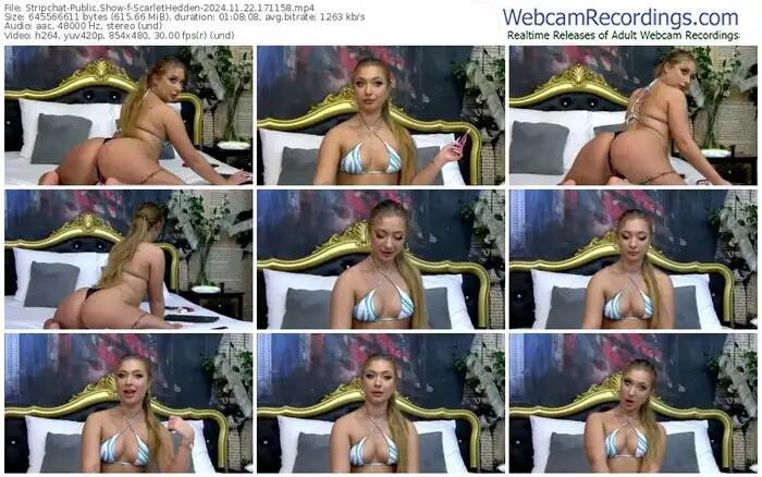 stripchat-scarlethedden-11-22-2024-17-11-58