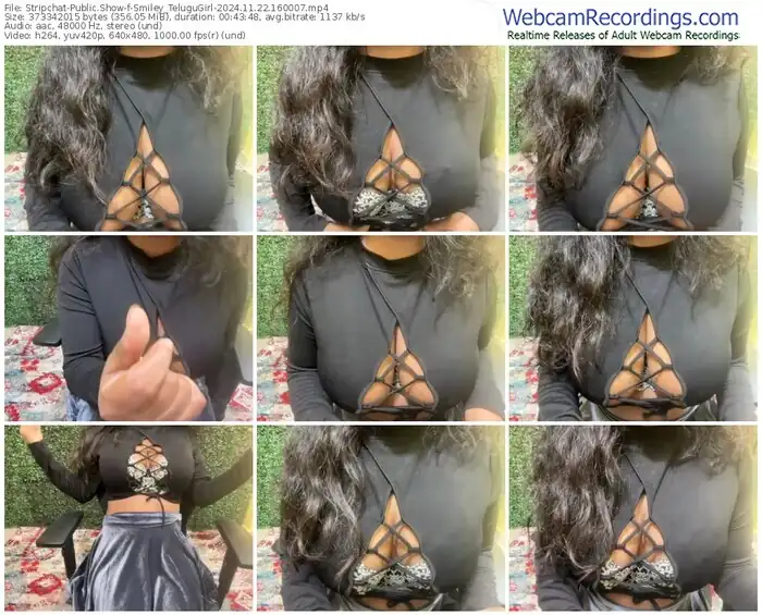 stripchat-smiley_telugugirl-11-22-2024-16-00-07