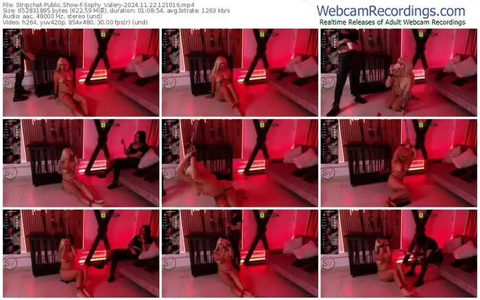 stripchat-sophy_valery-11-22-2024-12-10-16