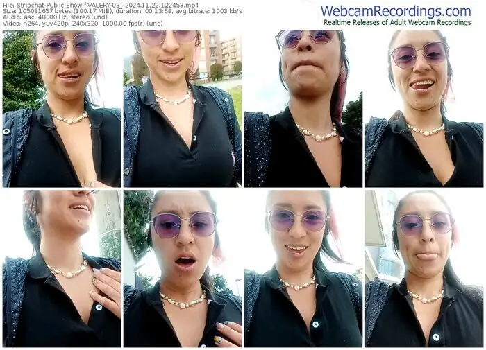 stripchat-valery-03_-11-22-2024-12-24-53